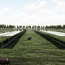 NZ’s Largest Solar Farm to Rival Gentailers